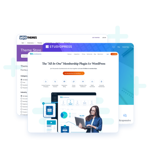 MemberPress Elementor Content Protection 1.0.7 - Image 4