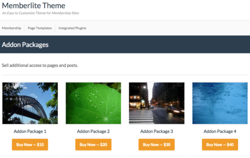 Paid Memberships Pro - Addon Packages 0.9 - Image 3
