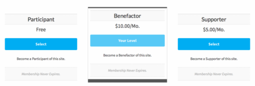 Paid Memberships Pro - Custom Level Cost Text Add On .0.4.2 - Image 2