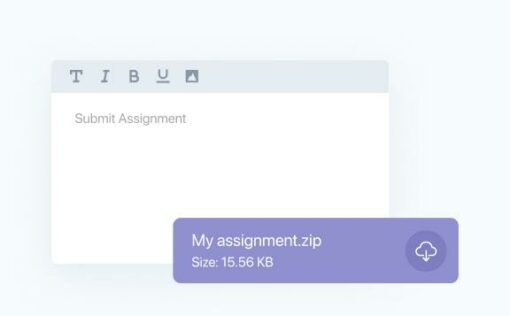 Tutor LMS Pro 3.1.0 - Image 7