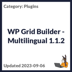 WP Grid Builder - Multilingual