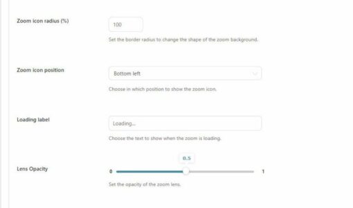 YITH WooCommerce Product Gallery & Image Zoom Premium 2.30.0 - Image 7