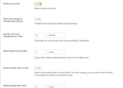 YITH WooCommerce Recover Abandoned Cart Premium 2.32.0 - Image 8