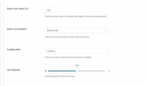YITH WooCommerce Product Gallery & Image Zoom Premium 2.30.0 - Image 16