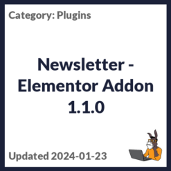 Newsletter - Elementor Addon