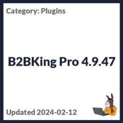 B2BKing Pro