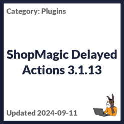 ShopMagic Delayed Actions