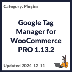 Google Tag Manager for WooCommerce PRO