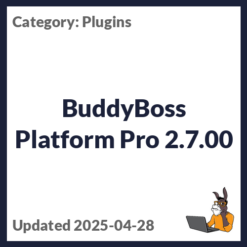 BuddyBoss Platform Pro