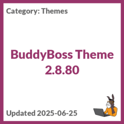 BuddyBoss Theme