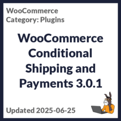 WooCommerce Conditional Shipping and Payments