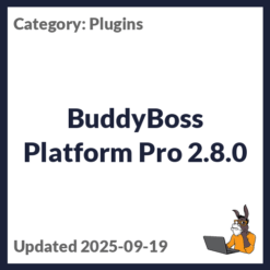 BuddyBoss Platform Pro