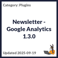 Newsletter - Google Analytics