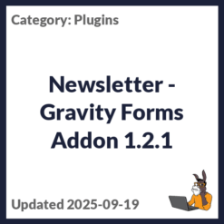 Newsletter - Gravity Forms Addon