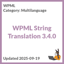 WPML String Translation
