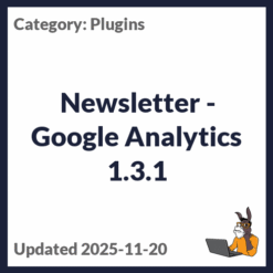 Newsletter - Google Analytics