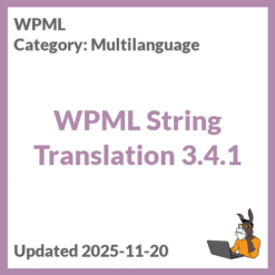 WPML String Translation