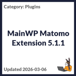 MainWP Matomo Extension