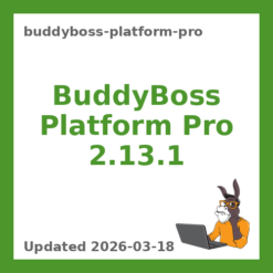 BuddyBoss Platform Pro 2.13.1